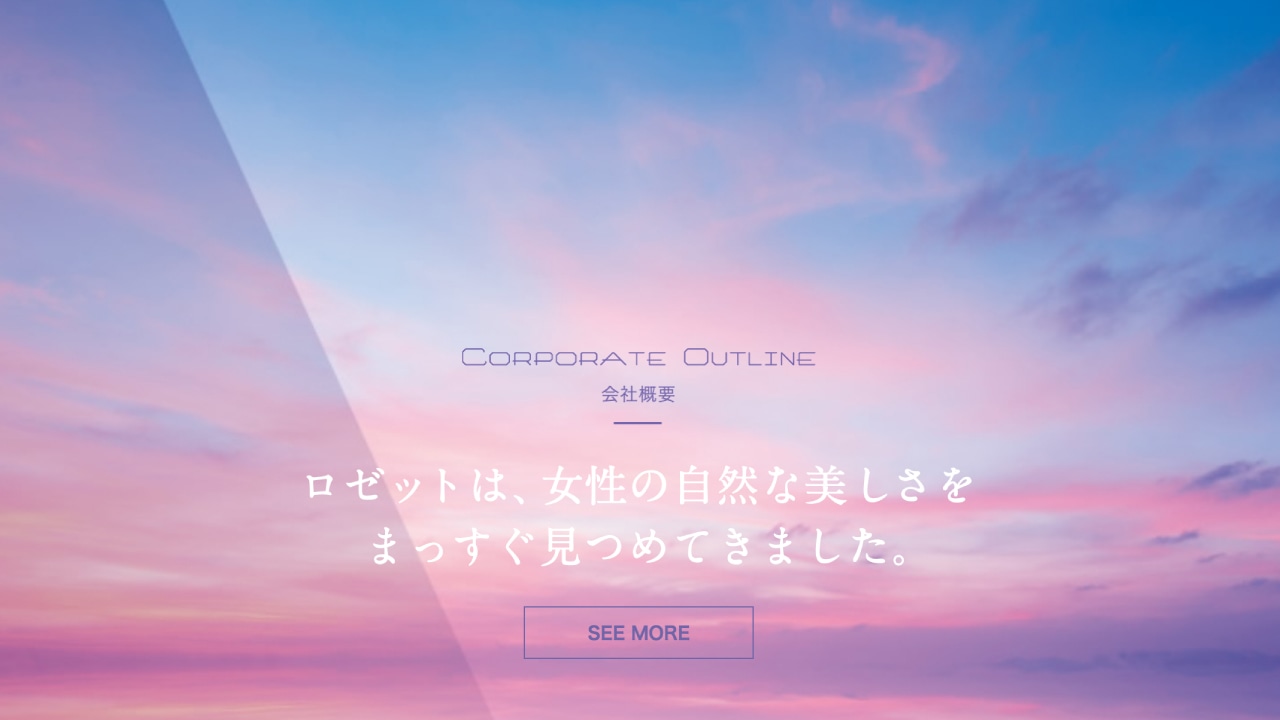 ブランディング導入事例-2