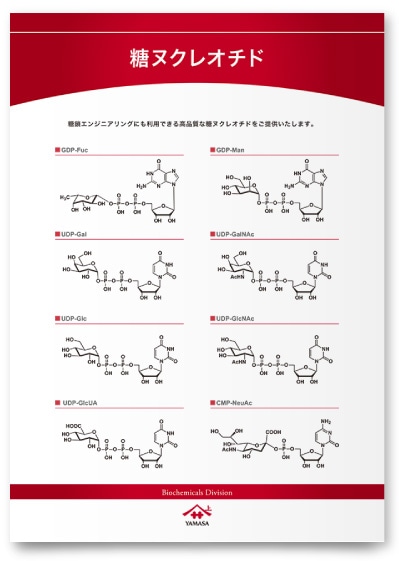 食品会社の医療事業会社案内