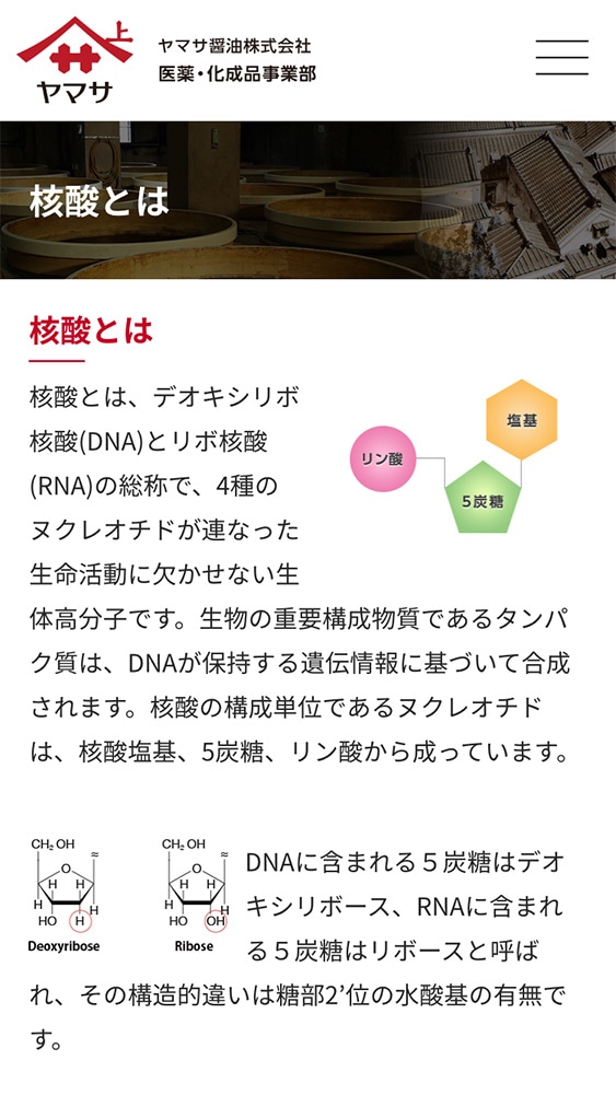 ヤマサ醤油株式会社様・Webサイト