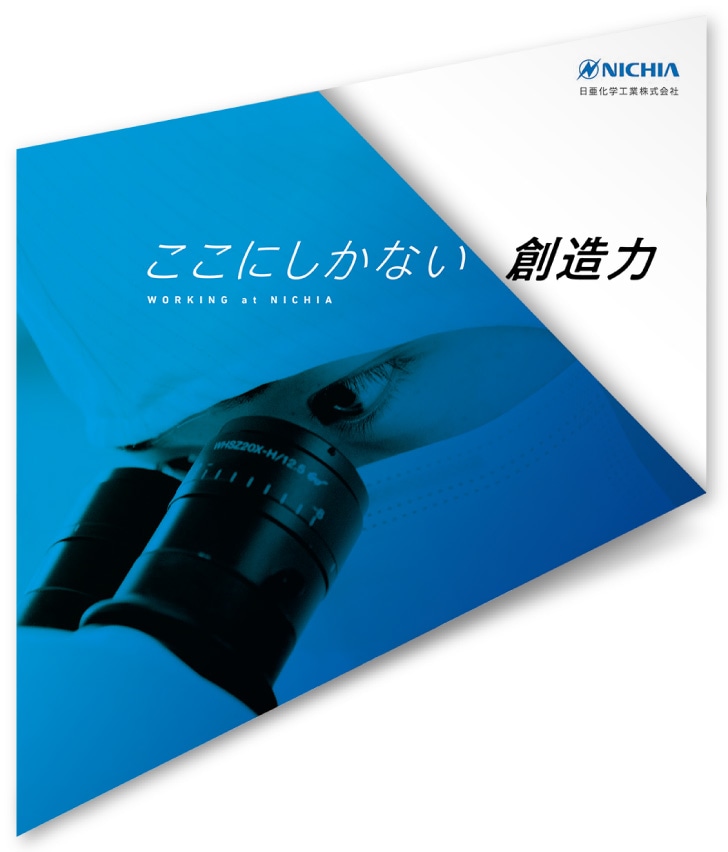 日亜化学工業株式会社様・採用パンフレット