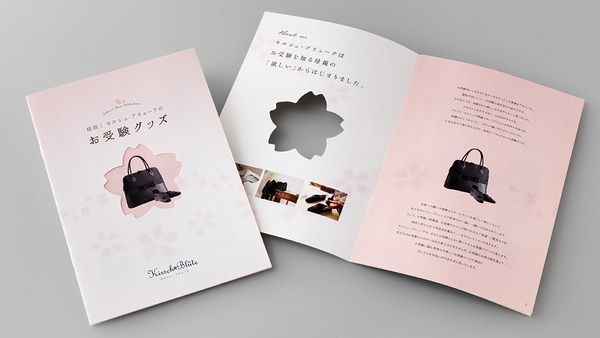 ca01type31_large-thumb-